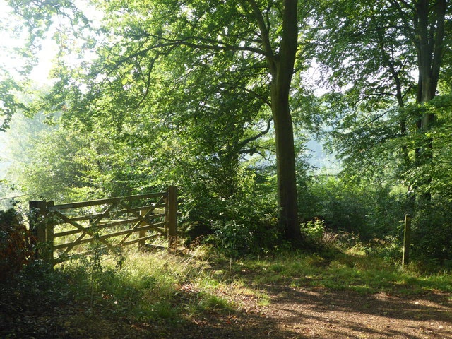 Comfortable holiday accommodation